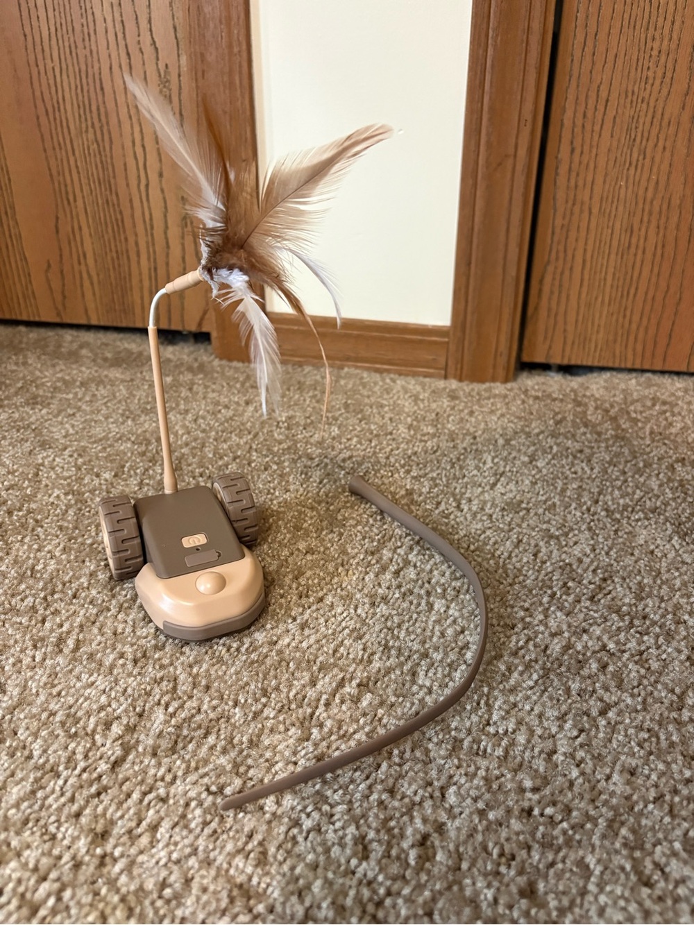 Rechargeable 3 in 1 Interactive Self- Play Cat Toy with Interchangeable Tails